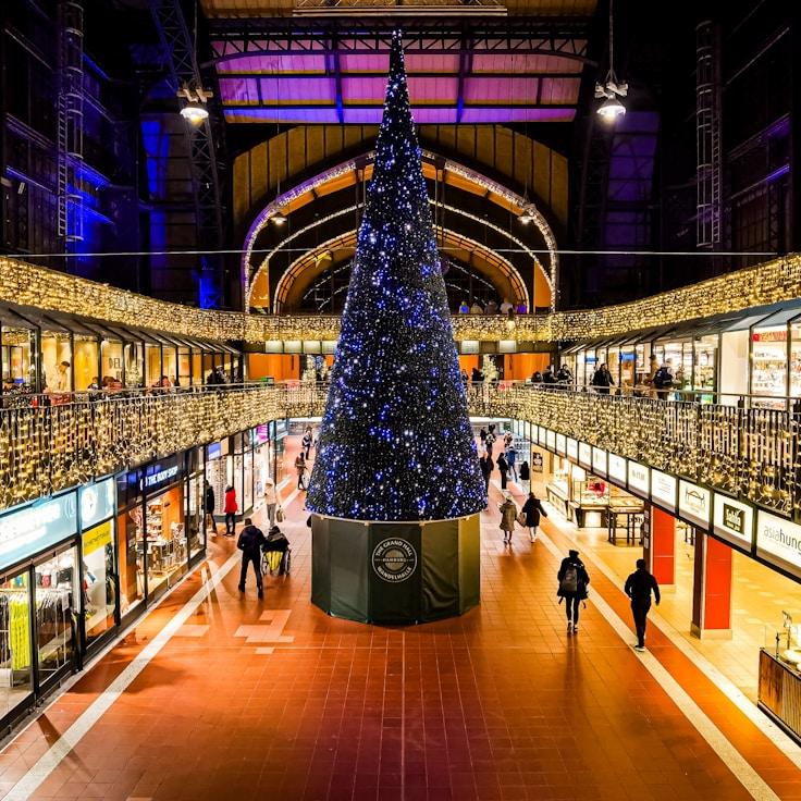 Dining out as an expat family in France